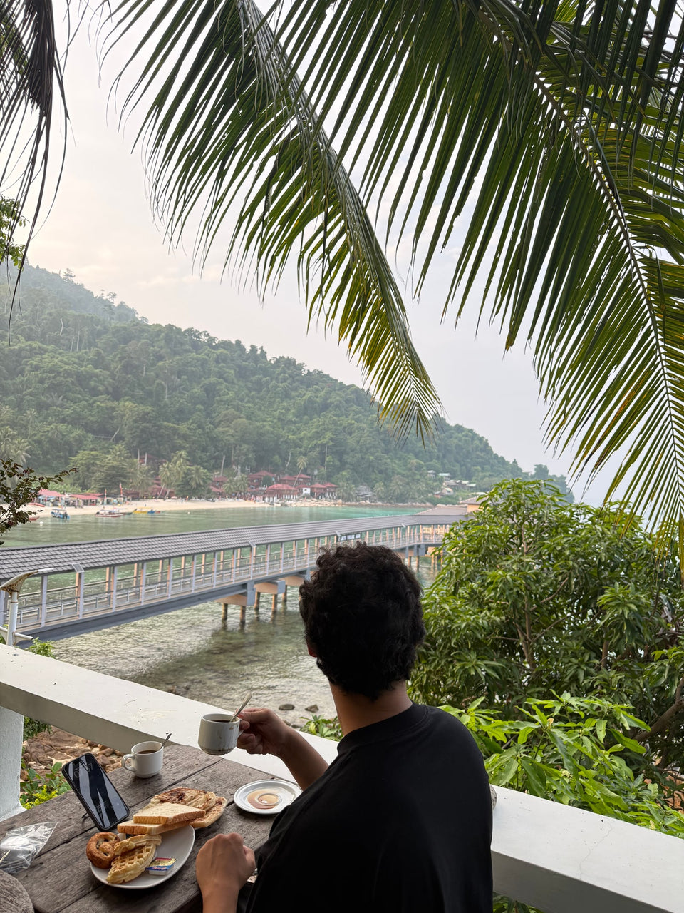 De dos, un café à la main, face à une baie bordée de palmiers.